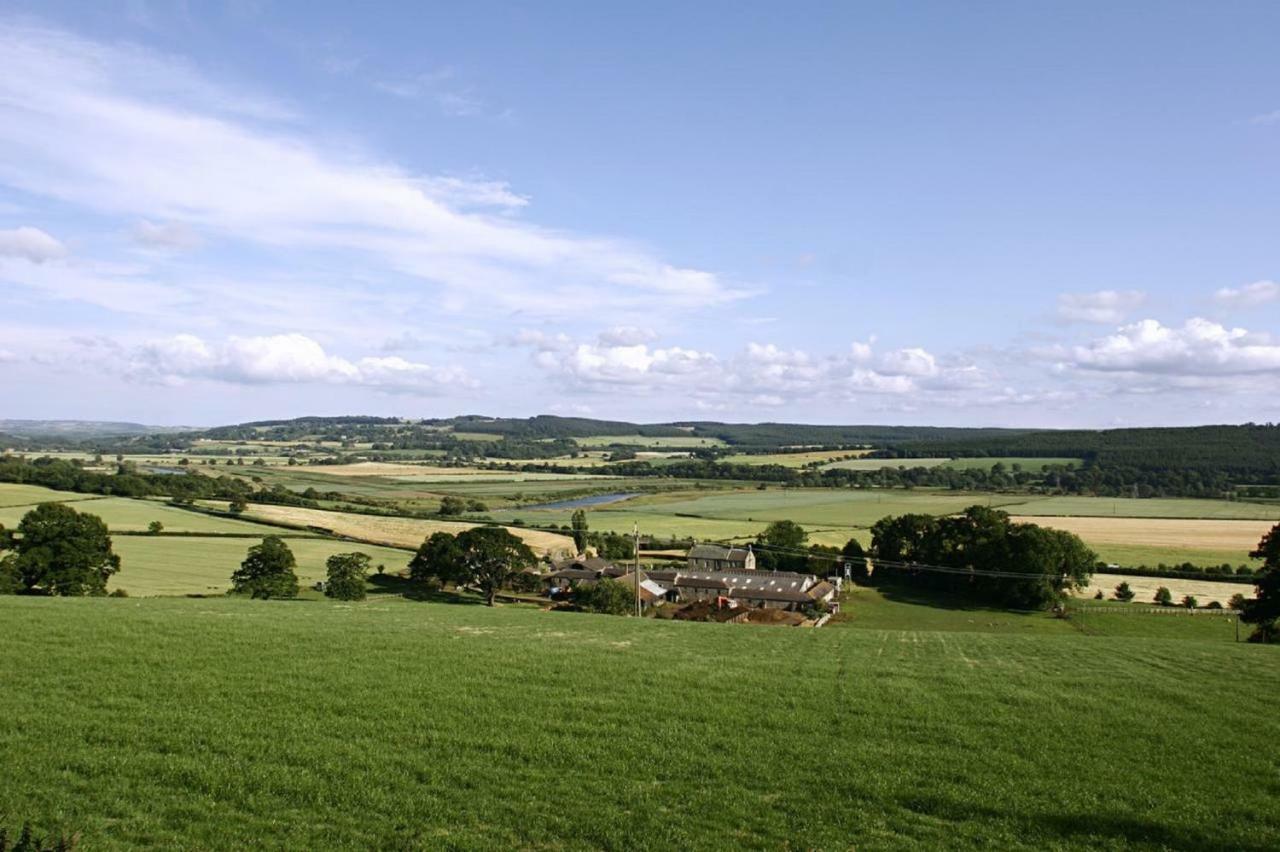 Anick Grange Farm B&B Hexham Bagian luar foto